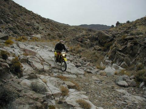 DV 13 14 Step Down 35.jpg